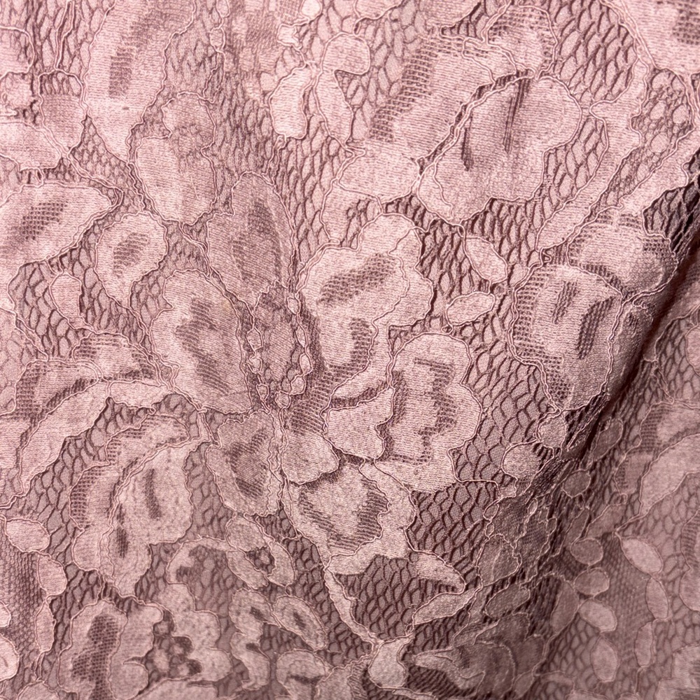 NWOT Chetta B Long Sleeve Lace Dress in Mauve